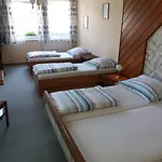מלון Austria Traveller 3*