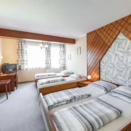 Hotell Austria Traveller Lenzing