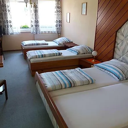Hotel Austria Traveller