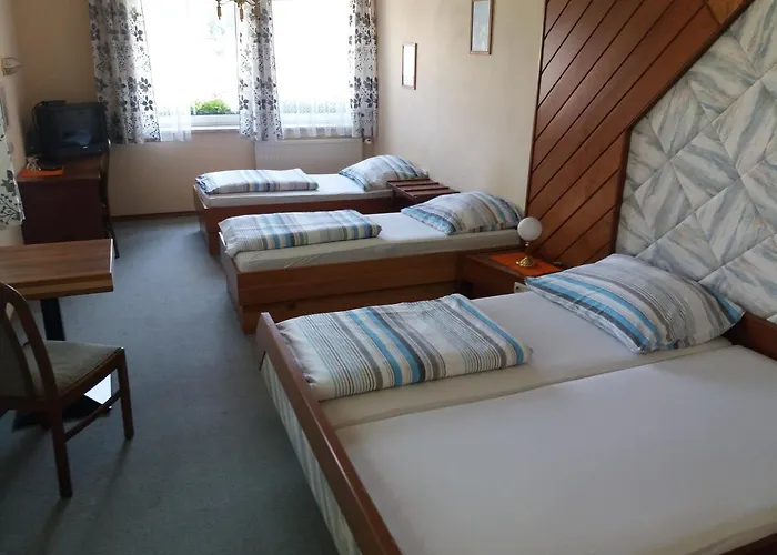 Отель Austria Traveller 3*