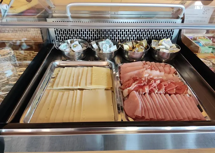 Austria Traveller Otel